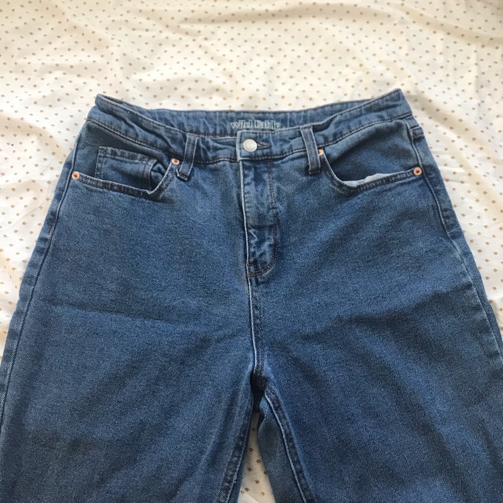 Wild Fable High Rise Mom Jeans
